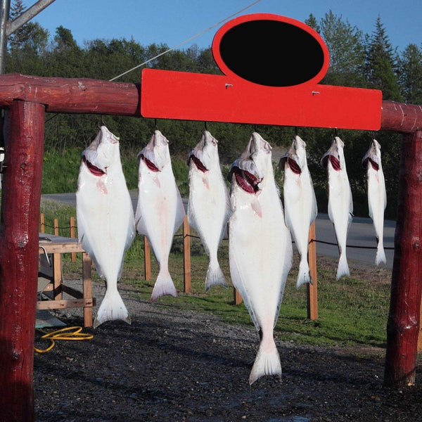 Halibut Health Benefits: Nutritional Facts, Omega-3s, and Expert Opinions