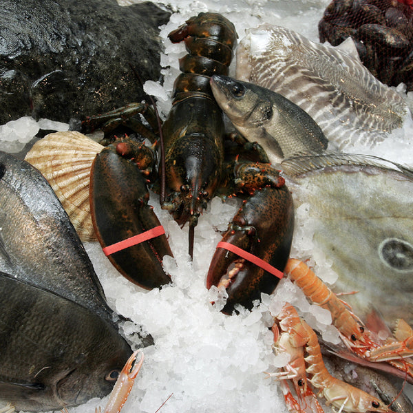 The Ultimate Seafood Diet Plan for a Healthy Lifestyle