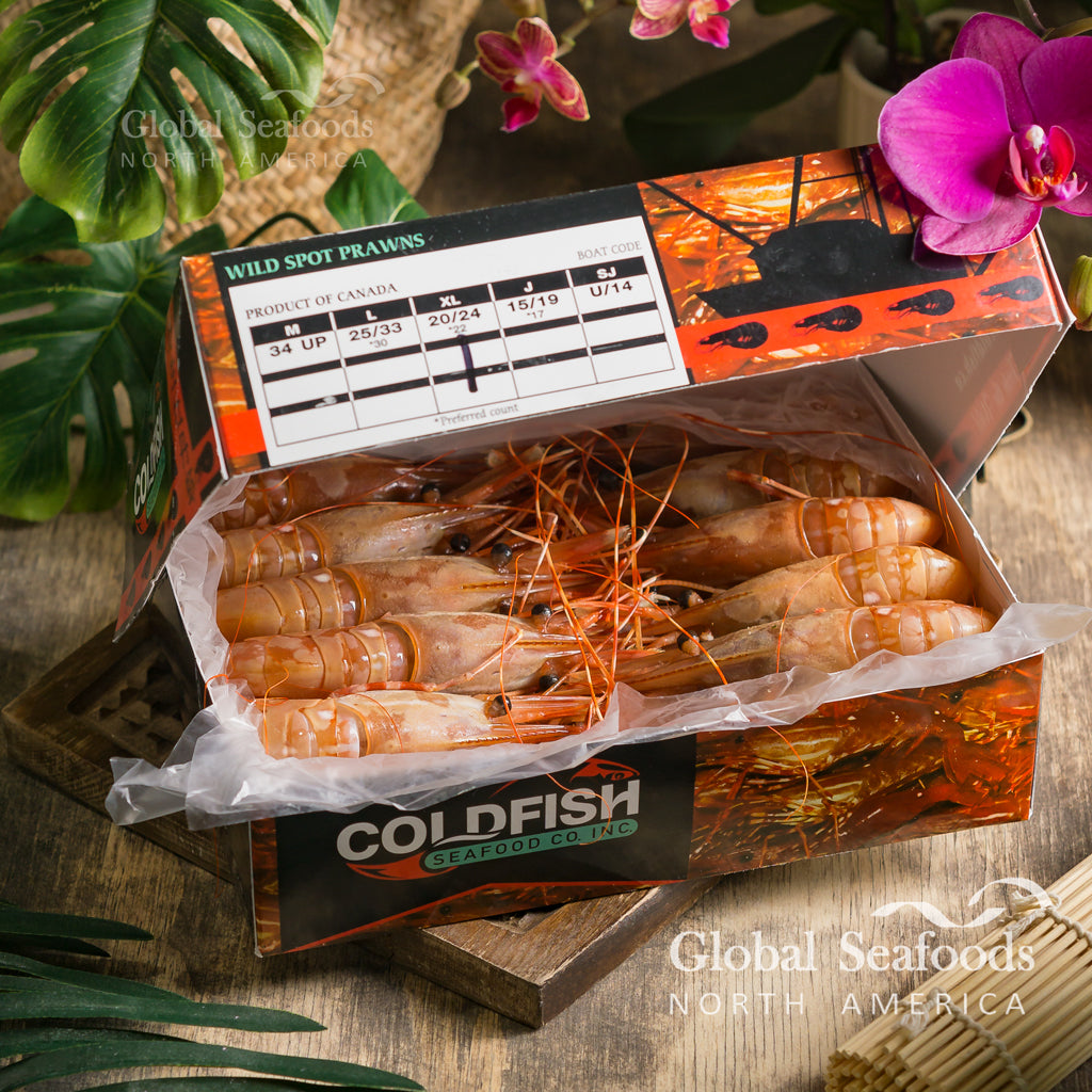 Fresh Canadian Spot Prawns on ice, showcasing their distinctive red and white spots