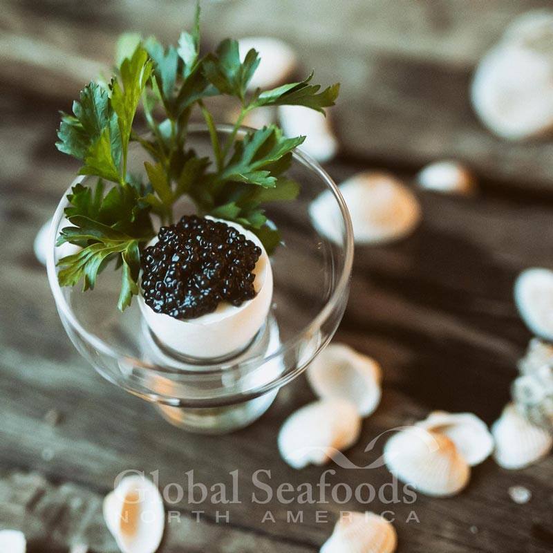Premium Jar of California White Sturgeon Caviar, Exuding Luxury