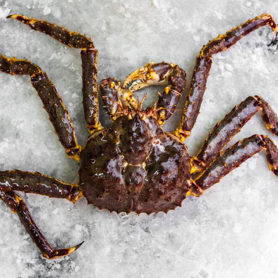 How to Impress Your Dinner Guests with King Crab: Fine Dining on a Budget