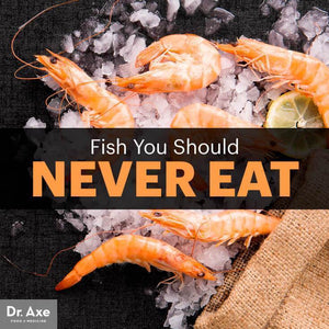 3 Fish You Should Never Eat
