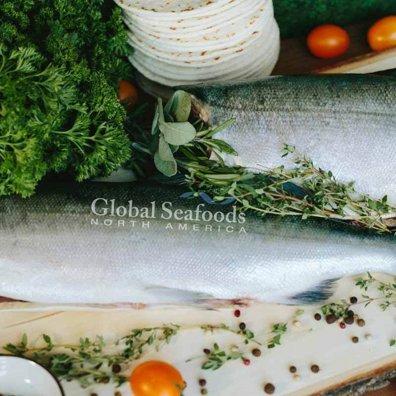 Raw fish fillets with skin, surrounded by herbs, peppercorns and tomatoes.