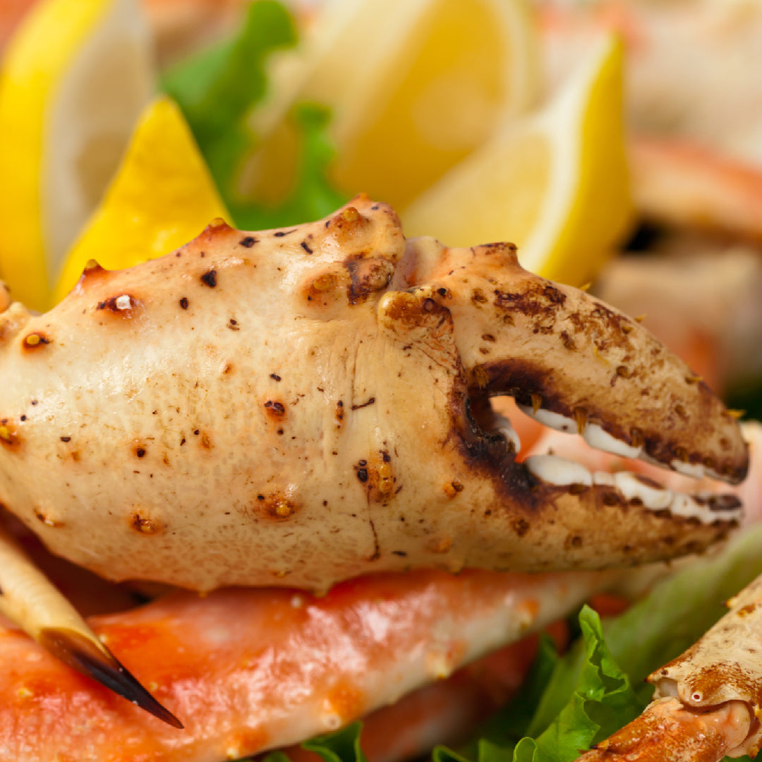 Three types of king crab side by side: Alaskan red king crab legs, golden king crab, and king crab leg pieces, showing budget options