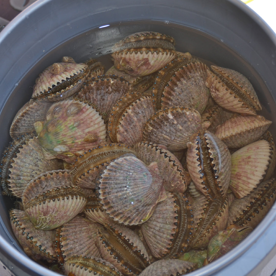 Five bowls of colorful scallop marinades including citrus, sesame ginger, and herb blends