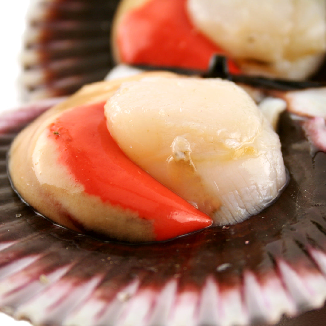Diver scallops searing on a hot grill with golden crust and grill marks