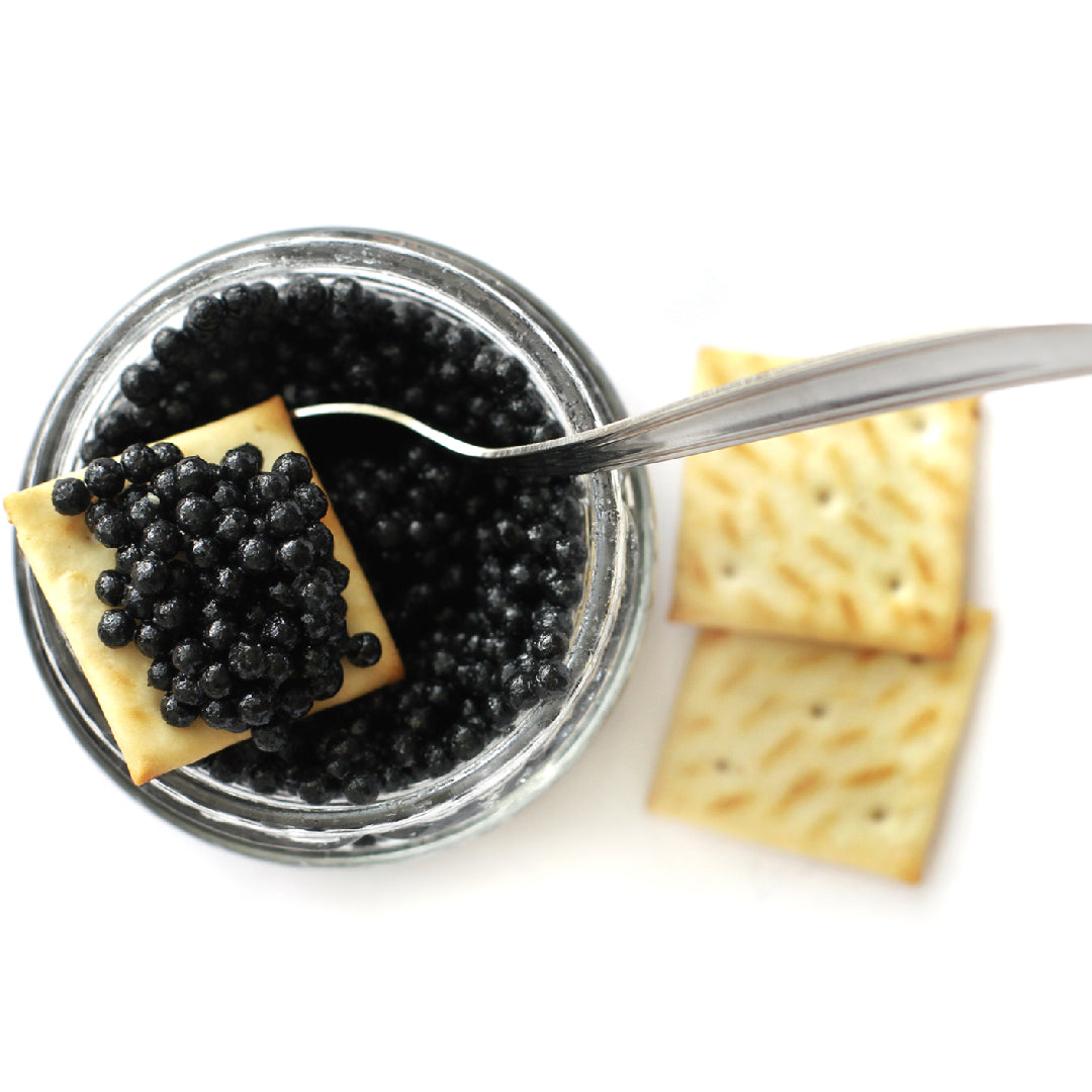 Large pearl-gray Beluga caviar eggs served in a tin on crushed ice