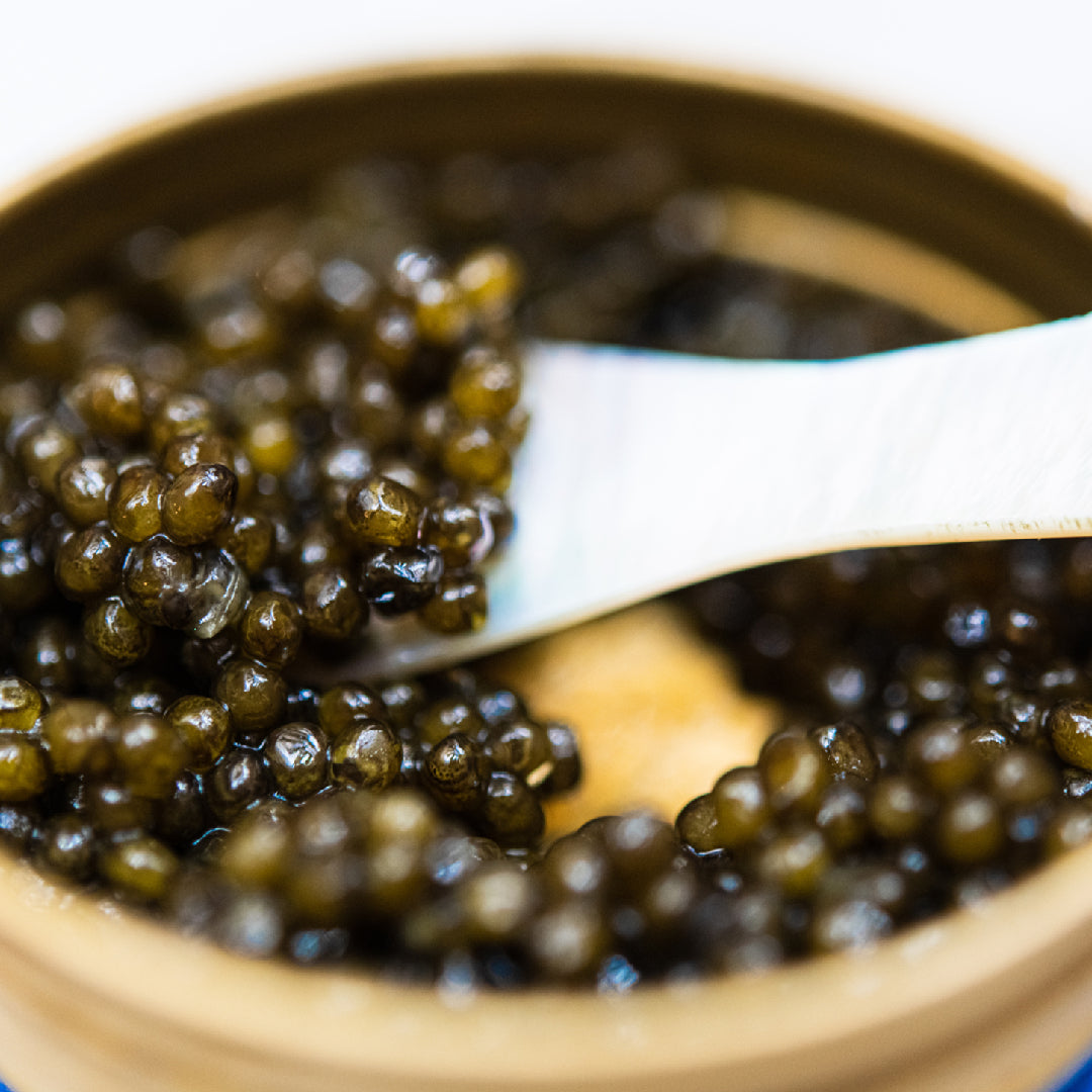 Close-up of authentic beluga caviar pearls with glossy gray finish in a luxury tin
