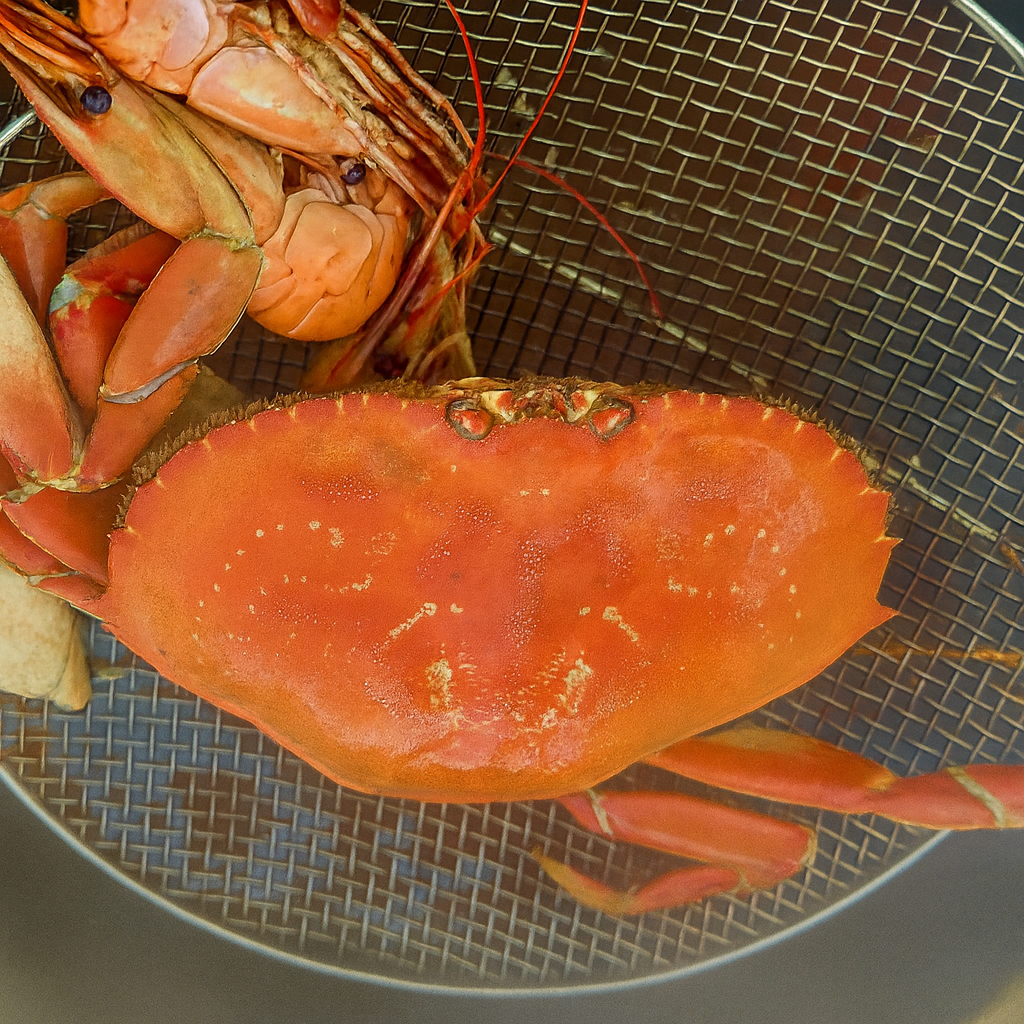 Fresh Washington Dungeness crab on a fishing boat deck, ready for sorting and transport to market