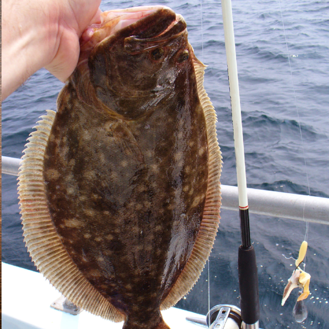 flounder fishing lures