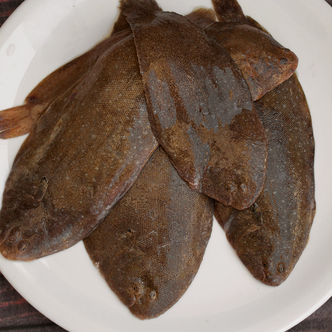 Flounder Fishing at Night: Tips and Tricks for a Successful Trip