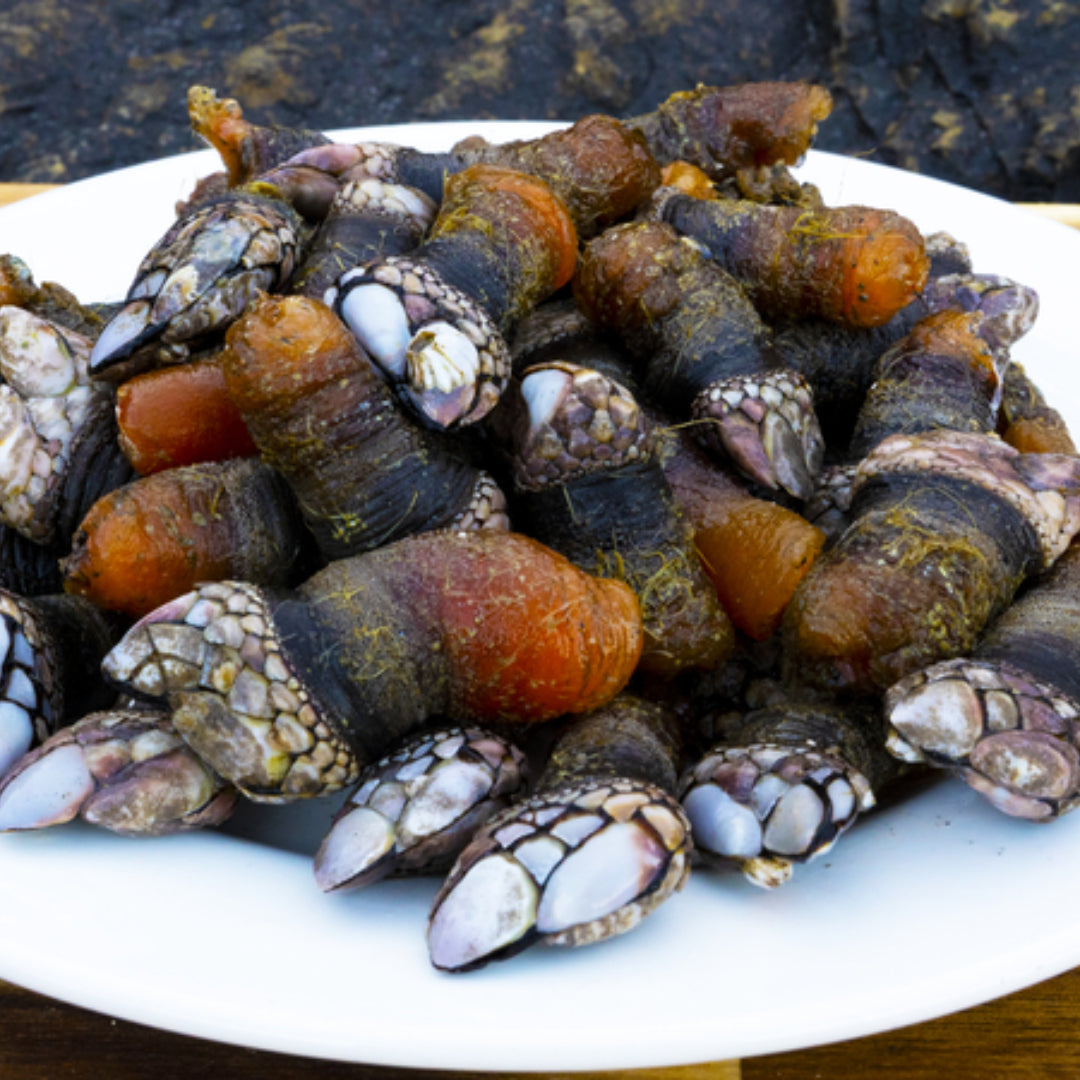 Freshly cooked Alaskan gooseneck barnacles sautéed with garlic and olive oil, garnished with lemon slices on a serving platter