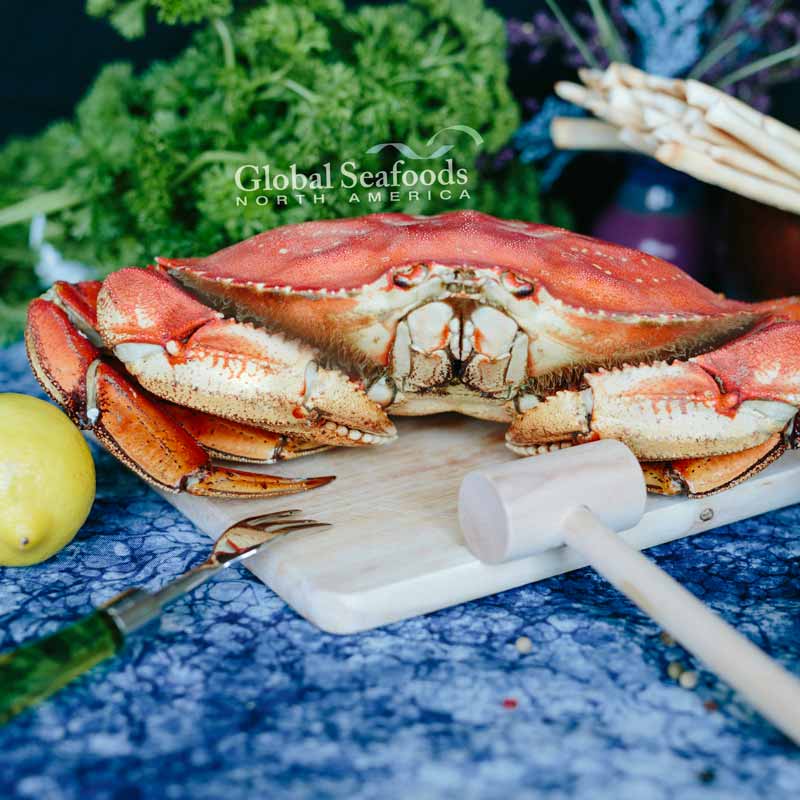 Live Dungeness crabs in a holding tank ready for sustainable shipping to customers