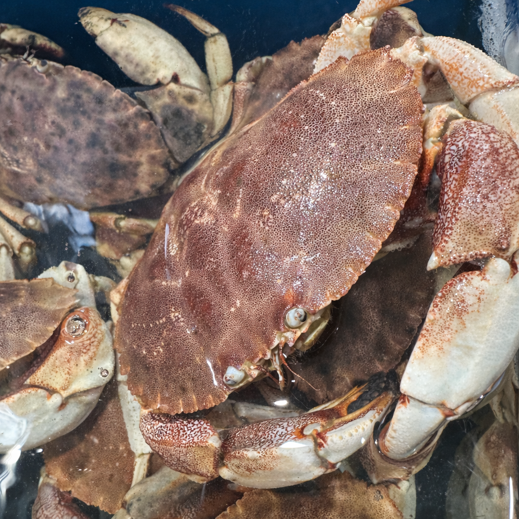 How to Cook Crab Claws to Perfection Every Time: A Complete Guide