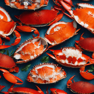 Crab Meat Extravaganza: Exploring the Versatility of this Oceanic Delicacy