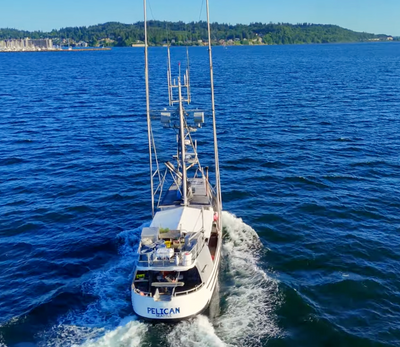 F/V Pelican underway, viewed from above the stern with a wake and distant shoreline