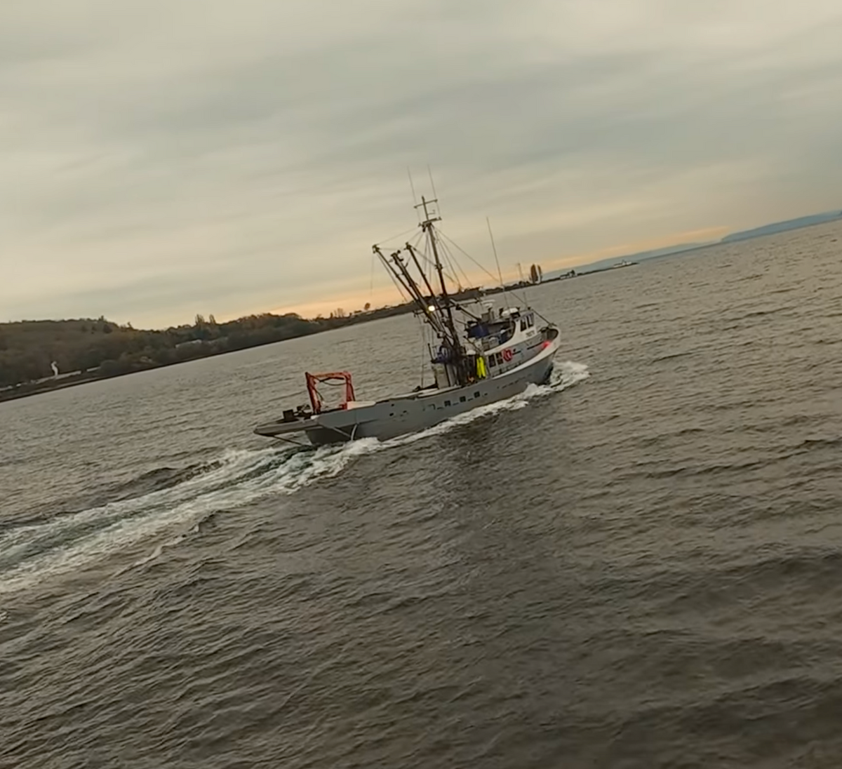 Salmon tender vessel Monroe operating in Puget Sound during Washington State salmon fishing season