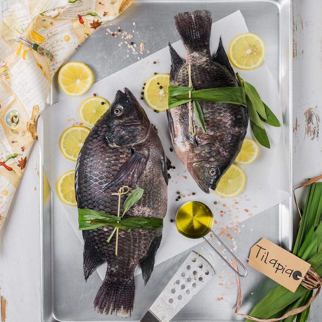 Farmed tilapia fish in aquaculture tank — health risks, contaminants, and omega-6 concerns