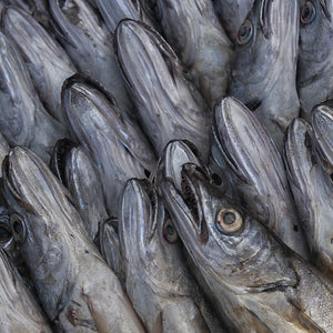 The Amazing Benefits of Eating Whiting Fish Every Week