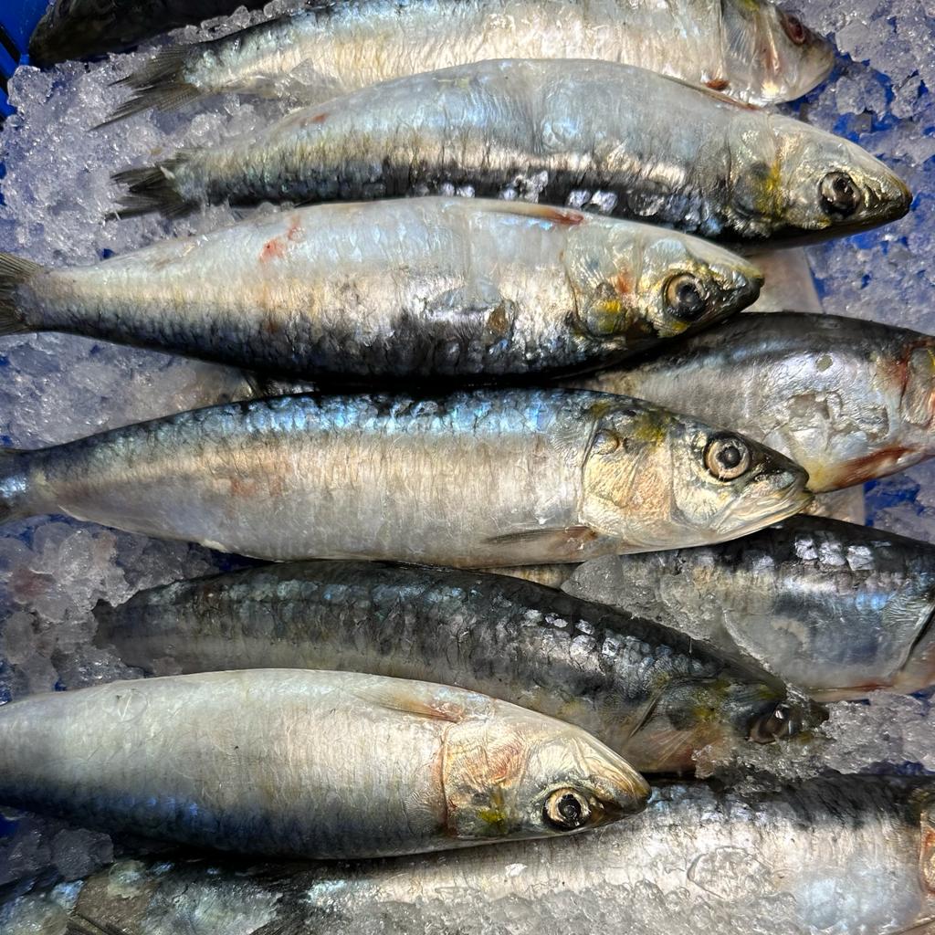Whole grilled Portuguese sardines with crispy skin, seasoned with sea salt and served with lemon wedges and fresh parsley