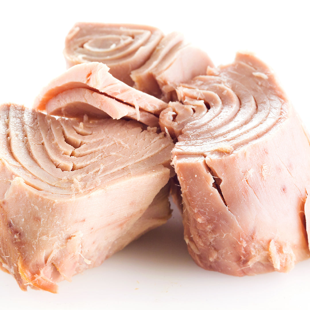 Smoked albacore tuna fillets on a smoker grill — step-by-step home smoking guide