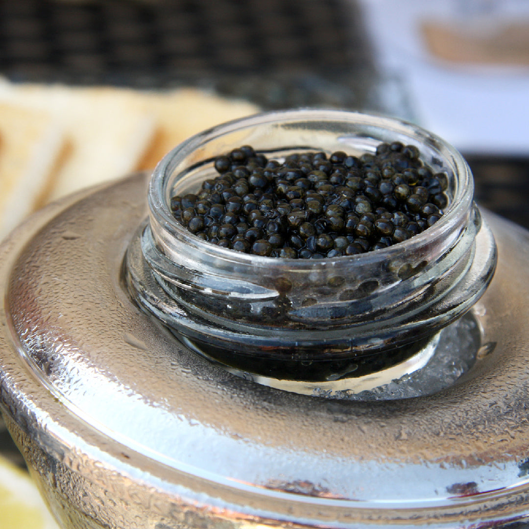 How to Host a Beluga Caviar Tasting Party: Tips and Tricks