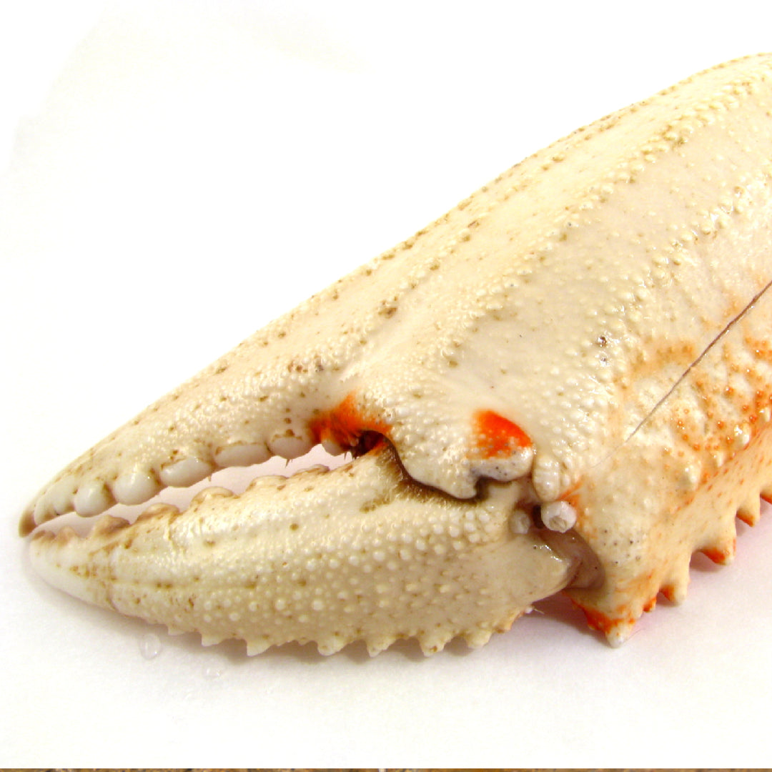 A gourmet crab claw sandwich on toasted sourdough bread with lettuce, lemon aioli, and fresh herbs on a wooden serving board