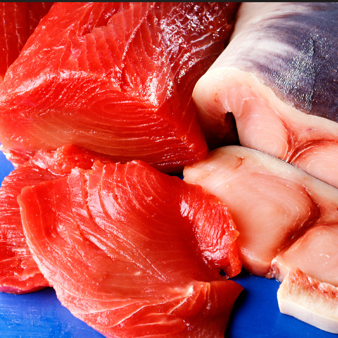 Fresh bluefin tuna (hon maguro) sliced for sushi and sashimi