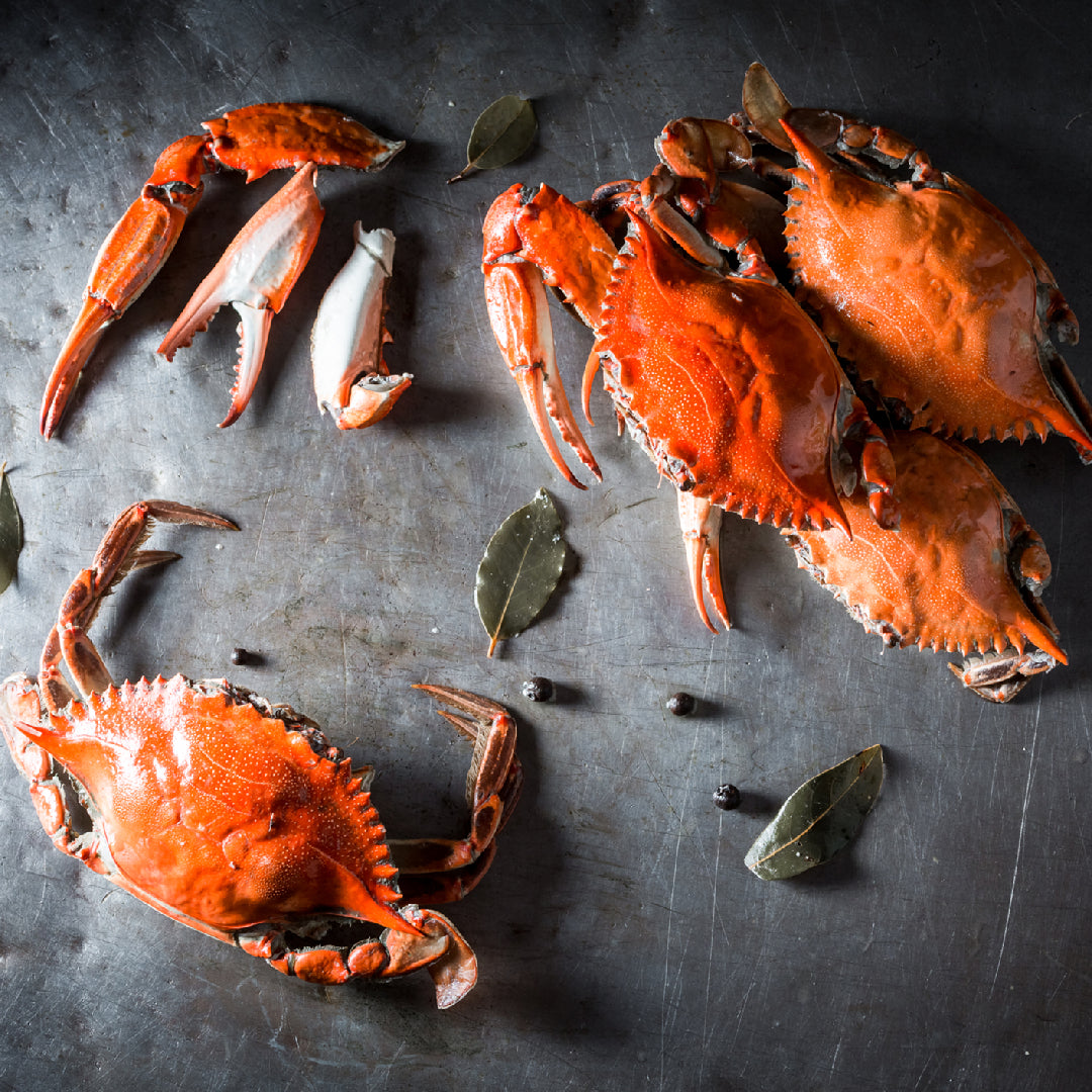 Fresh whole crabs and crab legs on ice at a seafood market during peak crab season, ready for purchase