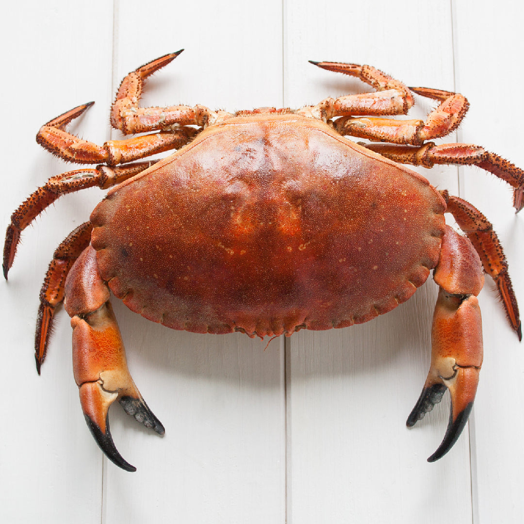 Assorted crab claw dishes including garlic butter crab claws, Cajun crab boil, and crab linguine served on a rustic wooden table
