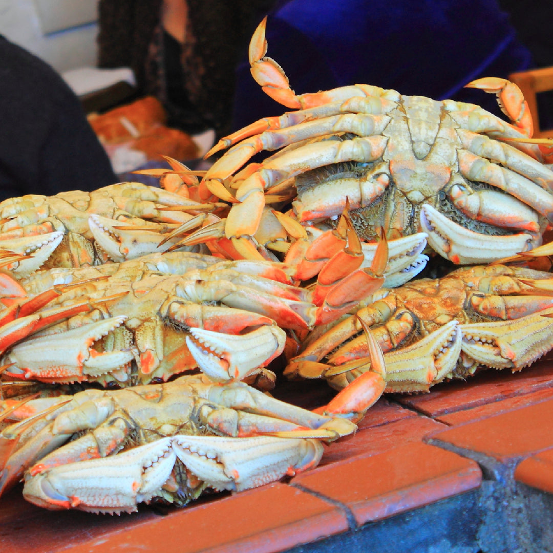 Side-by-side comparison of Alaskan king crab claws and lobster claws on a bed of ice with lemon wedges and dipping sauces