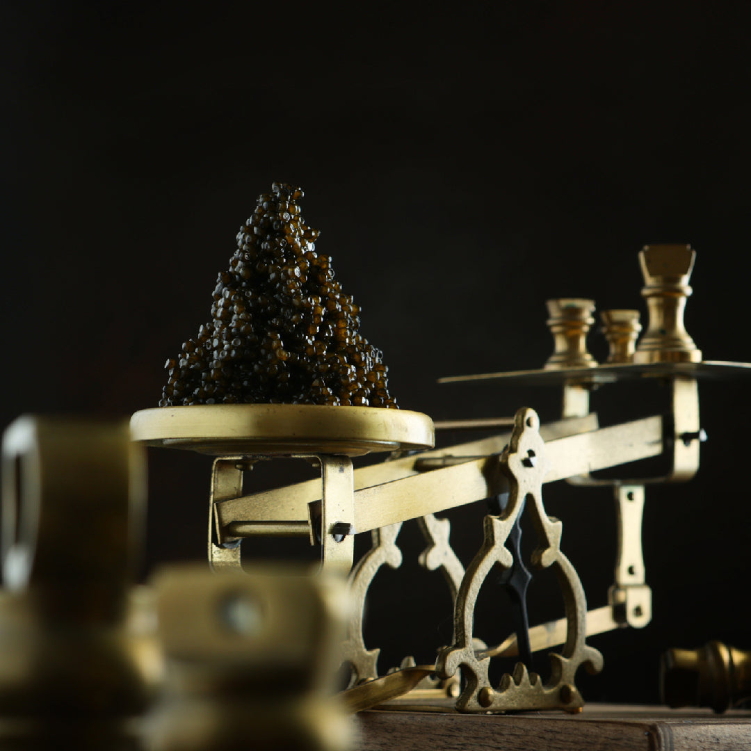 Golden and dark Osetra caviar pearls displayed in a mother-of-pearl spoon on ice