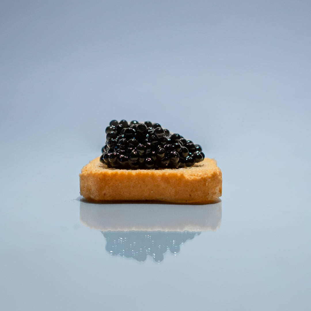 Osetra Caviar Storage: How Long Does It Last and How to Keep It Fresh
