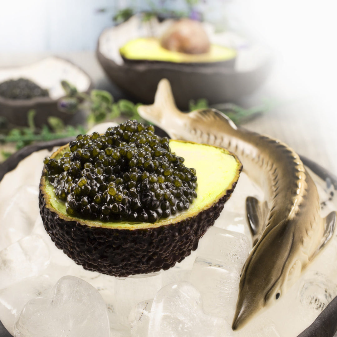 Fresh sturgeon roe being rinsed and prepared for homemade Osetra caviar