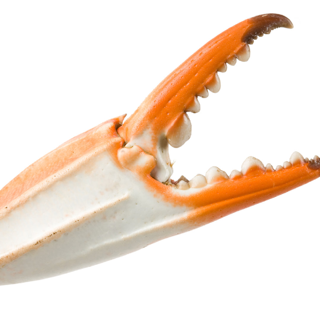 An elegant platter of crab claws arranged on crushed ice with lemon wedges, fresh herbs, and small bowls of dipping sauces for a dinner party