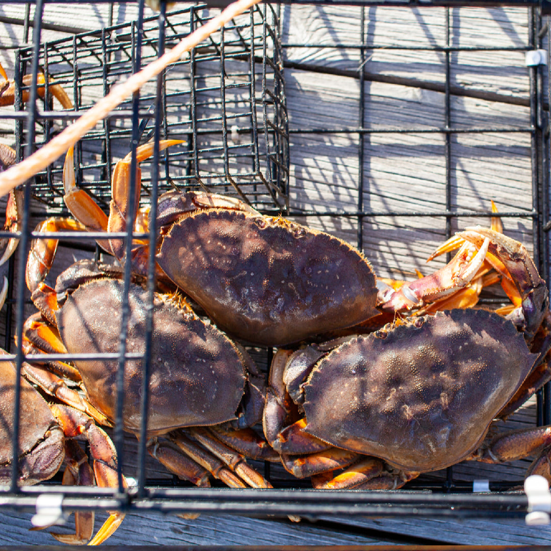 Steamed Dungeness crab legs served on a platter with lemon wedges and melted butter
