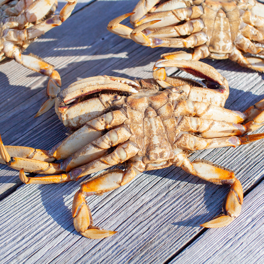 Steamed Dungeness crab legs on a platter with melted butter and lemon wedges
