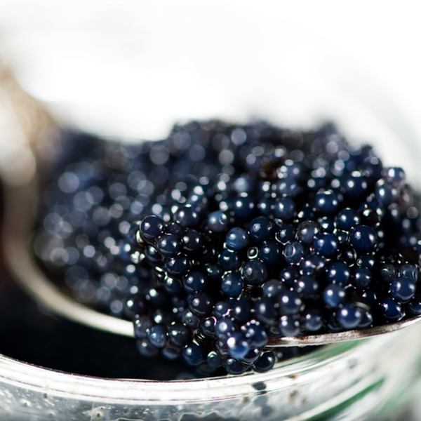 Discover Caviar Gold – The Pinnacle of Gourmet Indulgence