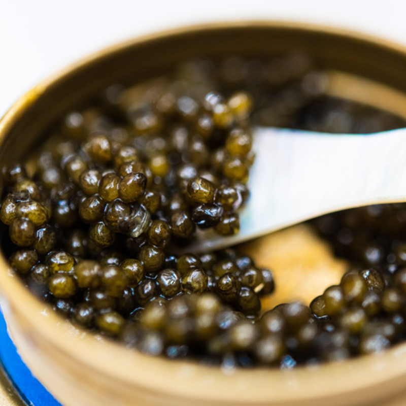Discover the Exquisite Delicacy of Roe Caviar A Gourmet Indulgence