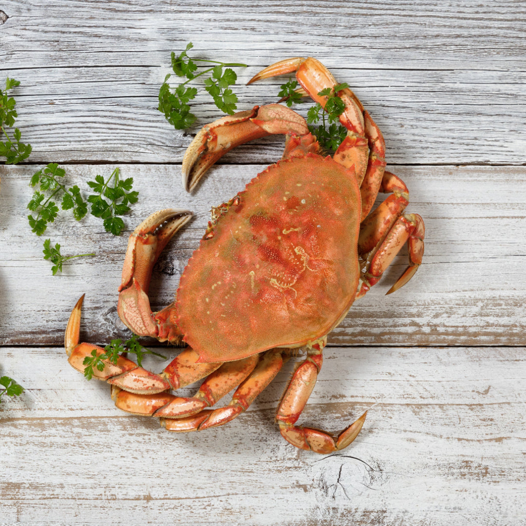 A Guide to Cleaning and Prepping Dungeness Crab Legs at Home
