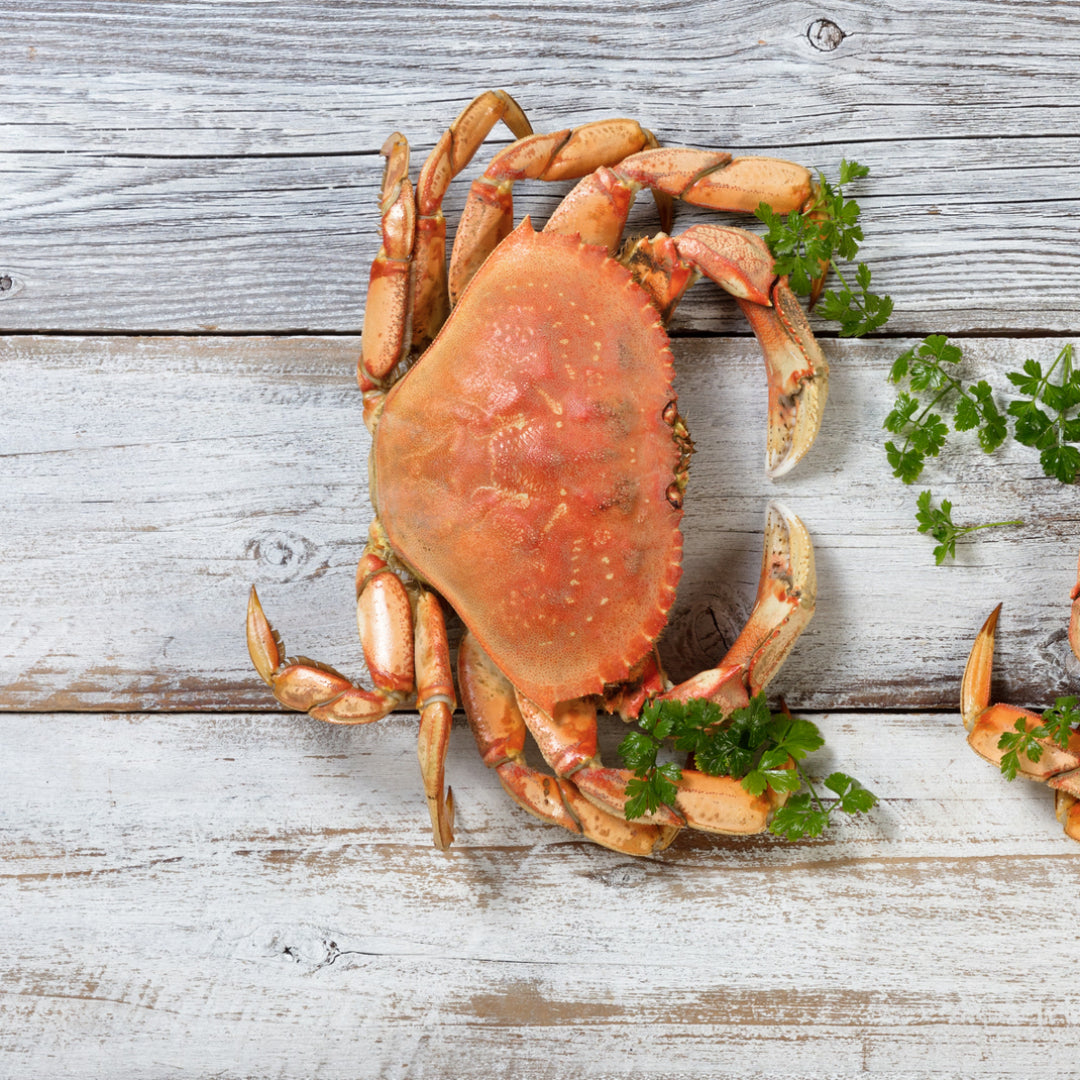 Fresh Dungeness crab legs stored on ice in an airtight container