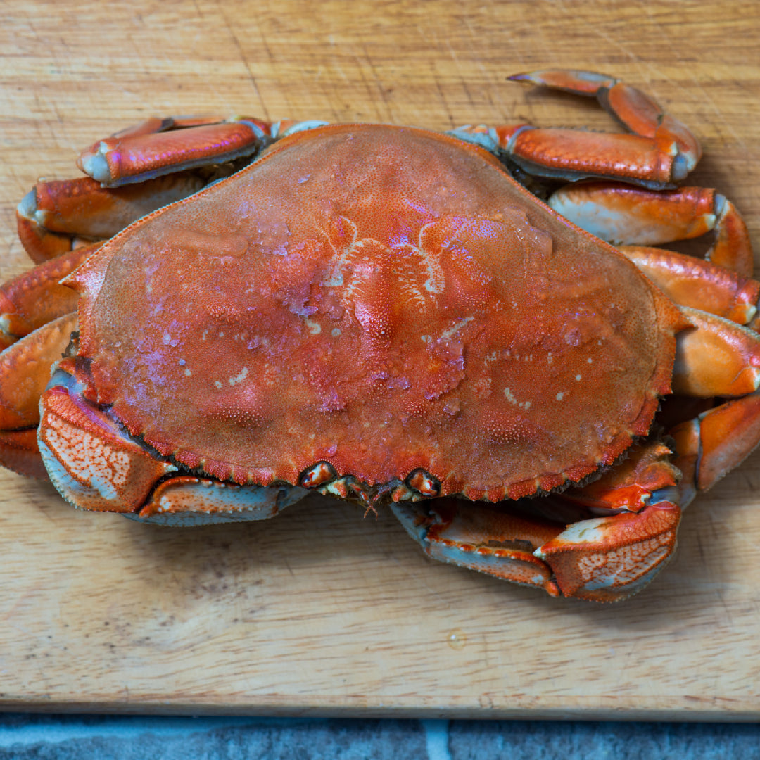 Fresh Dungeness crab legs on ice at a commercial seafood market
