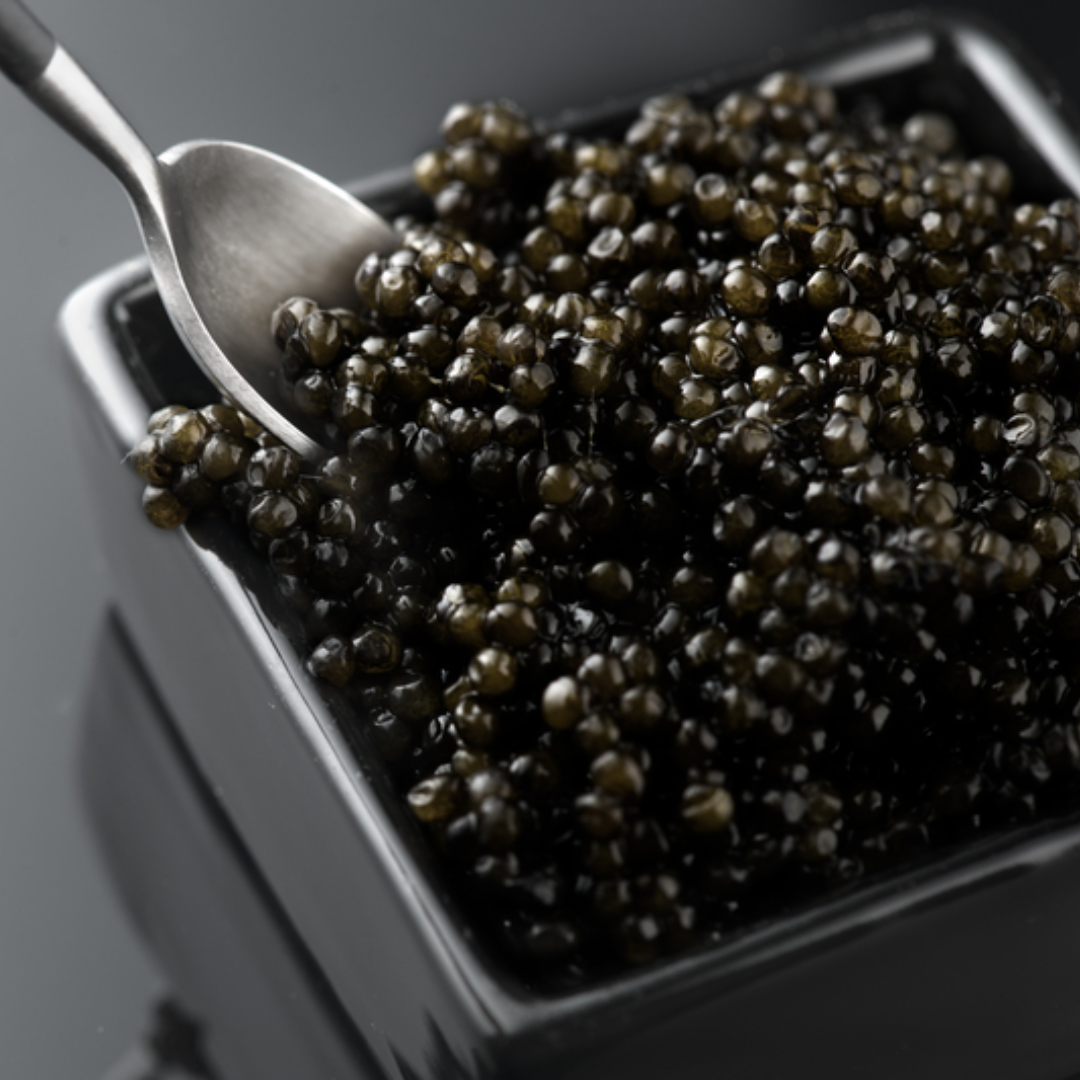 Dark gray Siberian Sturgeon caviar pearls served in an open tin on crushed ice with a mother-of-pearl spoon