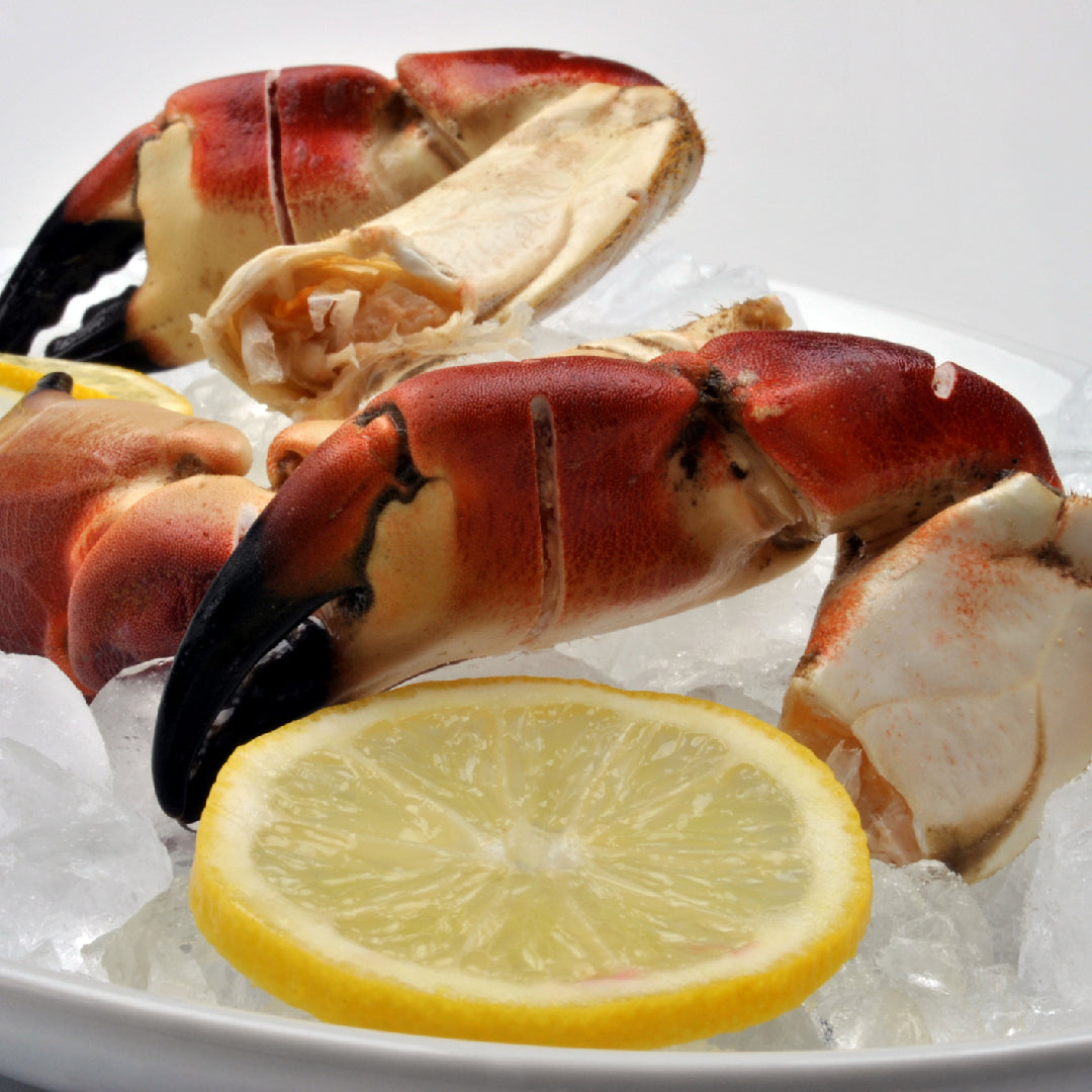 Fresh crab claws stored in an airtight container with ice to preserve freshness