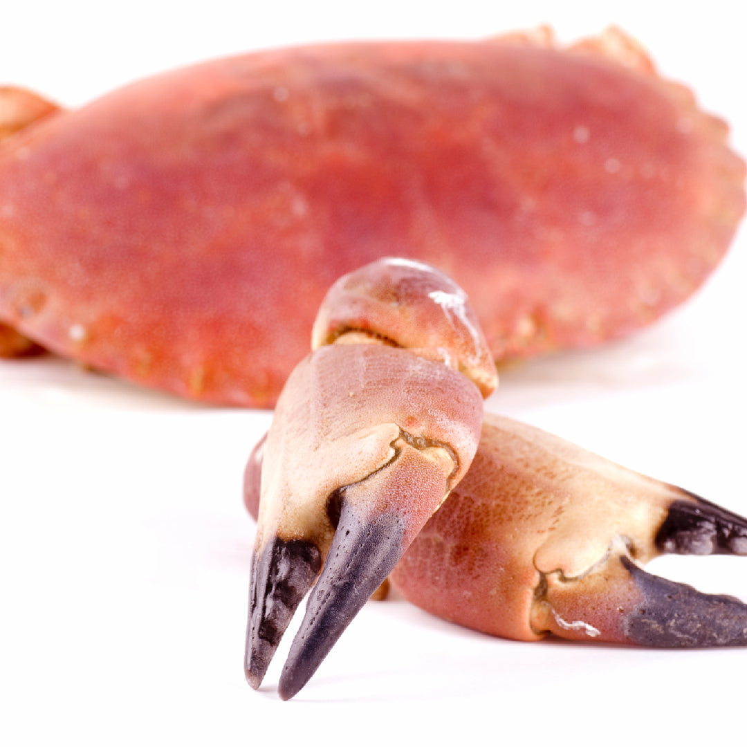 King crab legs, snow crab clusters, and Dungeness crab arranged on a platter with lemon butter dipping sauce and fresh herbs