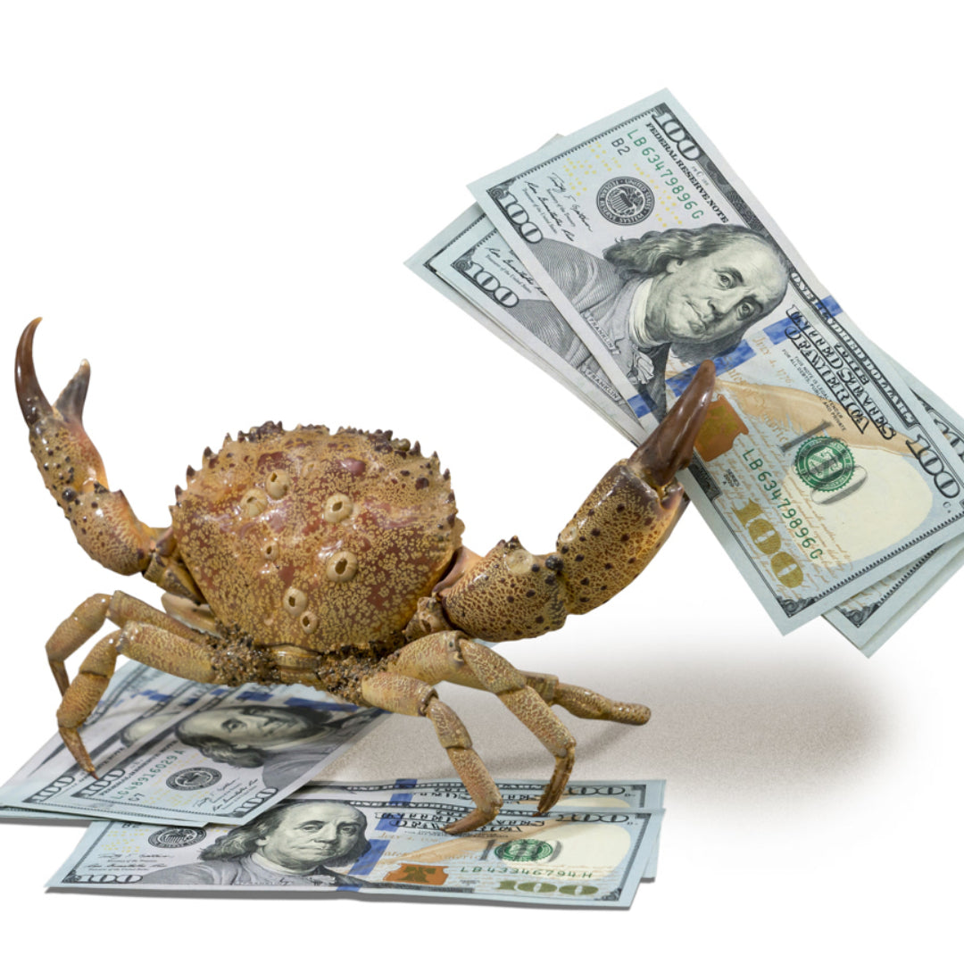 Selection of premium crab products including king crab legs, snow crab clusters, and Dungeness crab displayed on ice, representing the variety available when buying crab online