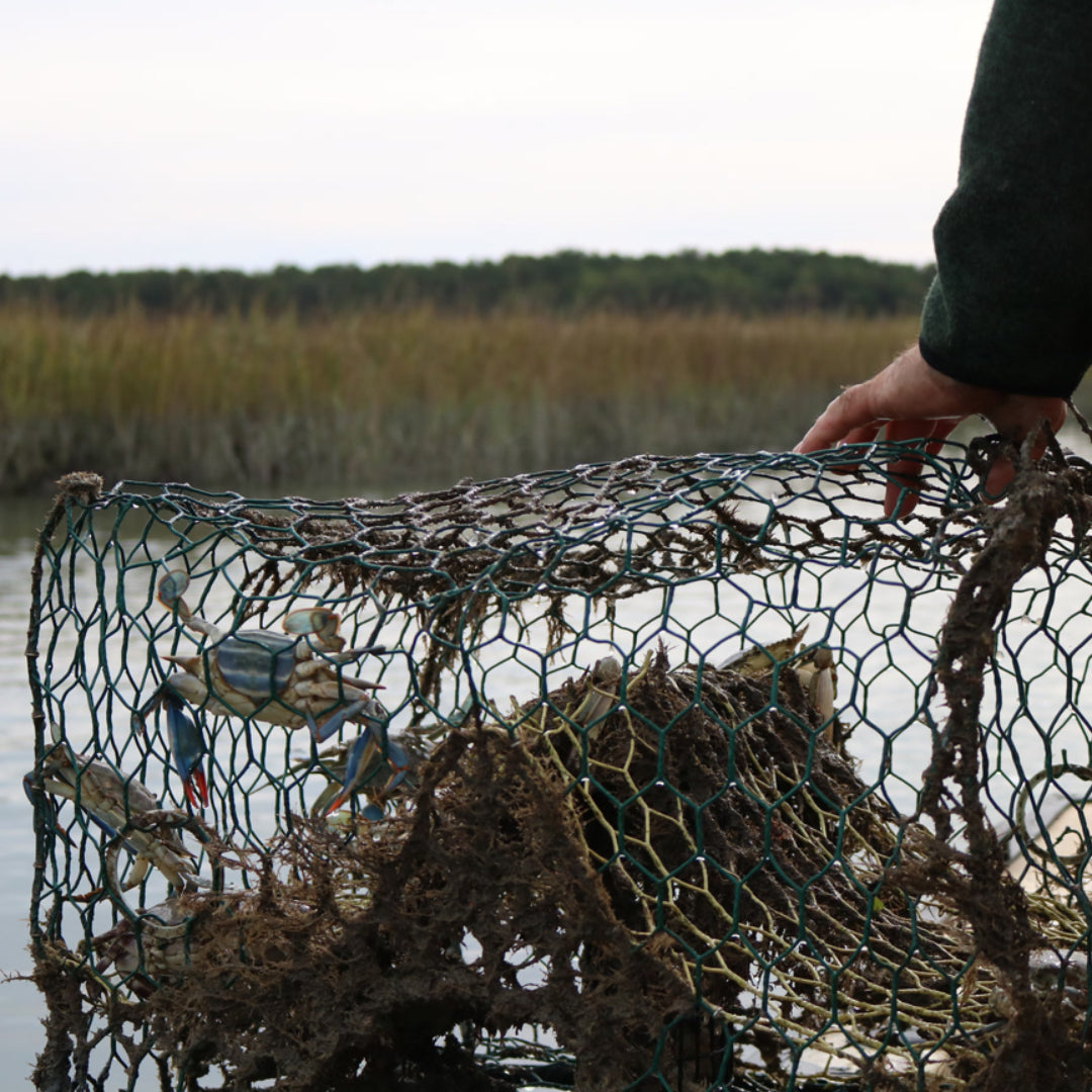 The Best Crabbing Locations in Louisiana: Where to Catch the