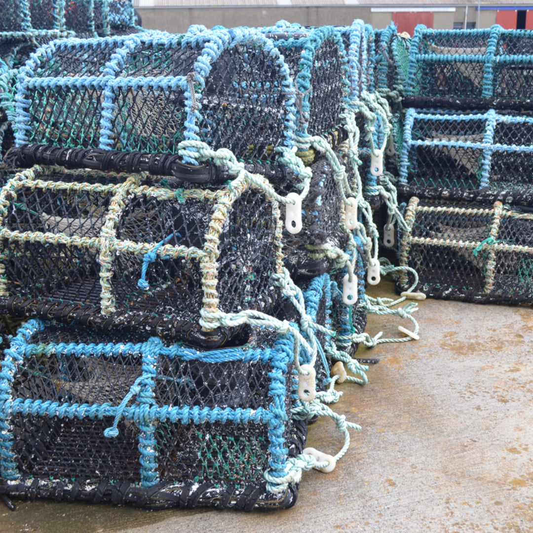 Crabbing gear including traps, rope, and bait laid out on a wooden dock at sunrise