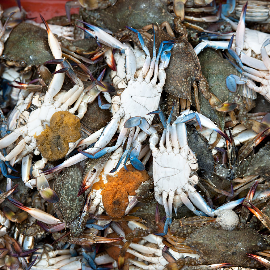 Boiling Crab in Asian Cuisine: A Finger-Licking Good Experience