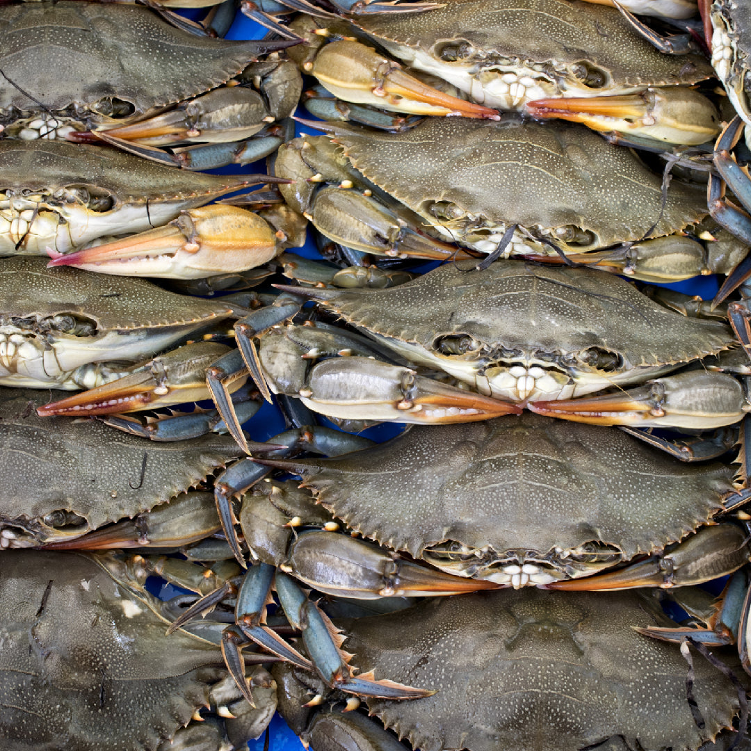 Crab for Brunch: A Guide to Enjoying Seafood in the Morning